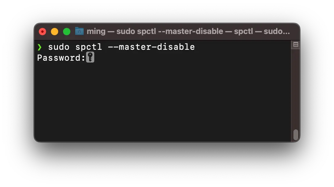 terminal-spctl-Password